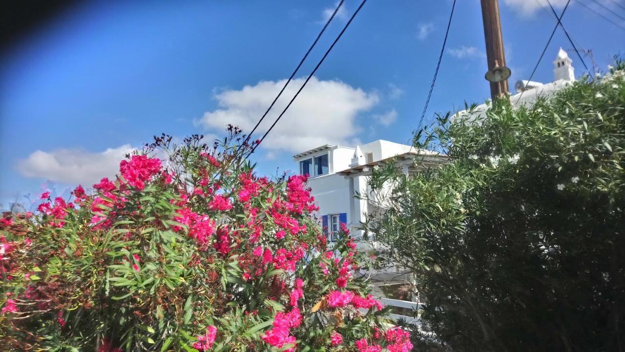 Villa Francesca II Mykonos Town Exterior foto